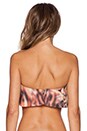 view 3 of 3 Wild Cat Flutter Bikini Top in Multi