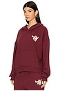 view 2 of 4 Hoodie in Burgundy