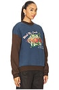 view 2 of 4 Greatest Fortune Crewneck Sweater in Blue & Brown