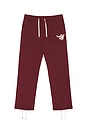 view 1 of 6 Sweatpant in Burgundy