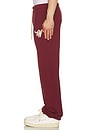 view 5 of 6 Sweatpant in Burgundy