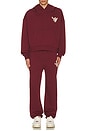 view 6 of 6 Sweatpant in Burgundy