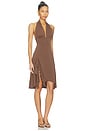 view 2 of 3 Kesha Dress in Brown