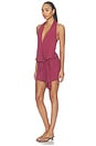 view 2 of 3 Luna Dress in Plum