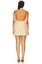 view 3 of 3 Theo Dress in Beige