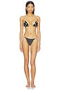 view 4 of 4 BIKINI 하의 in Beige & Black Small Dot