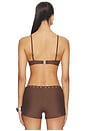 view 3 of 4 Julia Studded Bikini Top in Chocolate