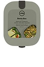 view 1 of 6 Plastic Bento Box in Sage