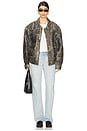 view 5 of 5 Cora Jacket in Distressed