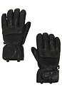 view 1 of 2 Leather Riding Gloves in Black