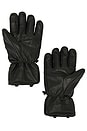 view 2 of 2 Leather Riding Gloves in Black