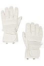 view 1 of 2 Leather Riding Gloves in Warm White
