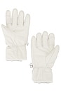 view 2 of 2 Leather Riding Gloves in Warm White