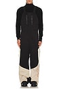 view 1 of 6 2L Insulated Cargo Bib Pants in Plaza Taupe, Black Onyx, & Bone