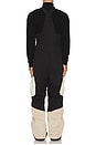 view 4 of 6 2L Insulated Cargo Bib Pants in Plaza Taupe, Black Onyx, & Bone