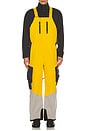 view 1 of 6 2L Insulated Cargo Bib Pant in Golden Yellow, Rock Ridge, & Phantom