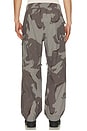 view 3 of 5 AMF Cargo Pant in Camo Print
