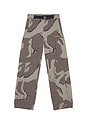 view 5 of 5 AMF Cargo Pant in Camo Print