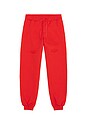 view 5 of 6 Travel Pants in Aura Orange