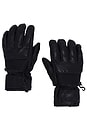 view 1 of 2 Leather Riding Gloves in Caviar