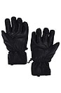 view 2 of 2 Leather Riding Gloves in Caviar
