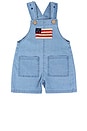 view 1 of 1 Overalls in American Flag