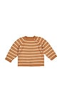 view 1 of 1 Stripe Crew Neck Sweater in Ginger & Oat Stripe