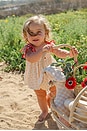 view 7 of 11 Embroidered Smock Set in Red Dot Cherry