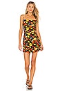 view 1 of 3 Ronnie Dress in Fruits Black Multi