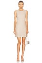 view 1 of 4 x REVOLVE A Line Muscle Dress in Taupe & White Stripe