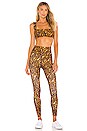 view 4 of 4 SOUTIEN-GORGE DE SPORT in Multi
