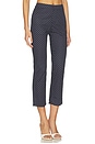 view 2 of 6 Button Front Pant in Navy & White