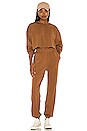 view 4 of 4 Jogger in Brown