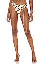 view 1 of 4 Belted Delilah Bikini Bottom in Tan