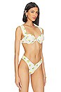 view 2 of 4 Claudia Bikini Top in Ditsy Lemons Off White Multi