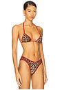 view 2 of 4 Triangle Bikini Top in Leopard Light Brown Multi & Scarlet