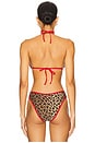 view 3 of 4 Triangle Bikini Top in Leopard Light Brown Multi & Scarlet