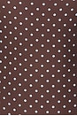 view 4 of 4 MAILLOT DE BAIN 1 PIÈCE BUNGEE SCOOP in Brown & Pale Blue