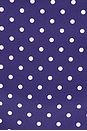 view 5 of 5 BRAGUITA BIKINI CLASSIC SCOOP in Navy & White