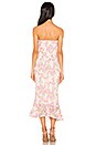 view 3 of 3 Bellisima Dress in Pink & Ivory Ground
