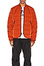 view 1 of 5 BLOUSON PADDED LINER in Icon Orange