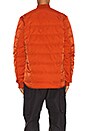 view 4 of 5 BLOUSON PADDED LINER in Icon Orange