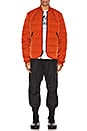 view 5 of 5 BLOUSON PADDED LINER in Icon Orange