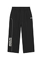 view 6 of 7 PANTALON F1 in Black