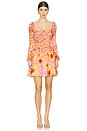 view 1 of 3 Molade Dress in Hibiscus