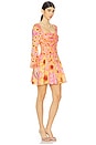 view 2 of 3 Molade Dress in Hibiscus
