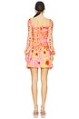view 3 of 3 Molade Dress in Hibiscus