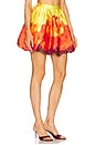 view 2 of 6 Monife Skirt in Petal Print