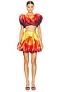 view 5 of 6 Monife Skirt in Petal Print