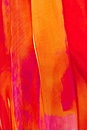 view 5 of 5 Faari Aquarelle Orange Top in Orange & Purple